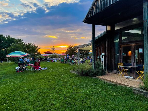 Chisholm Vineyards at Adventure Farm