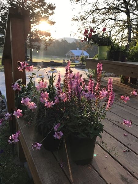 Pistols and Pearls A Skyline Hideaway