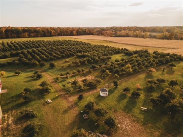 Alber Orchard & Cider Mill's Freedom Winery