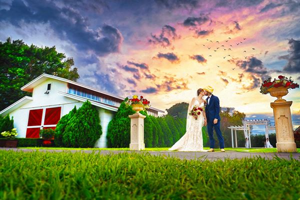 Mark Salner Photography