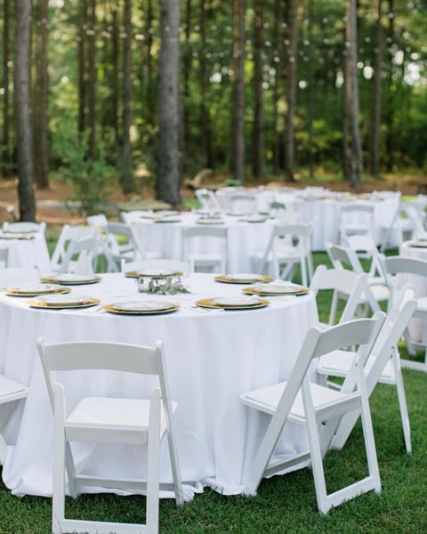 Painted Pony Vineyards