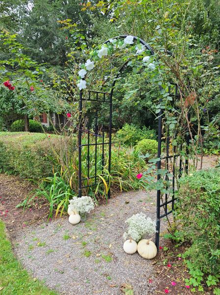 Lynne Parks'68 SUNY Cortland Alumni House