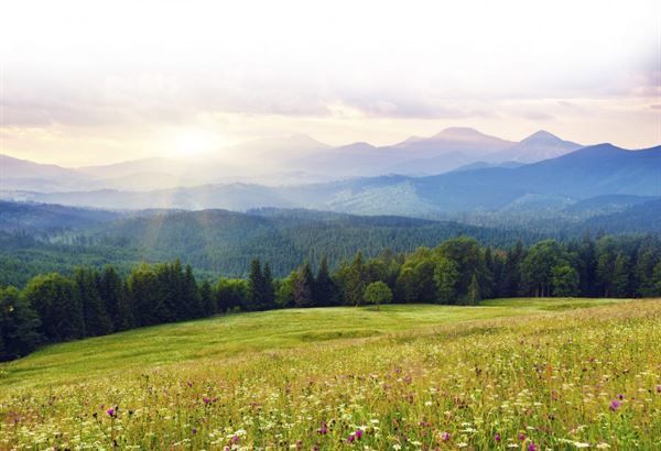 Tessentee Farm Wedding and Event Center