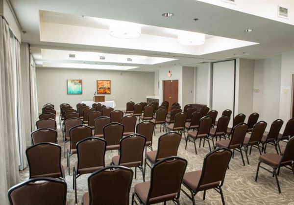 Holiday Inn Hotel & Suites Raleigh-Cary (I-40 @Walnut St)