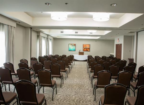 Holiday Inn Hotel & Suites Raleigh-Cary (I-40 @Walnut St)