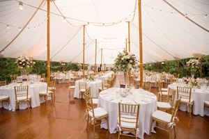 Court Tent
