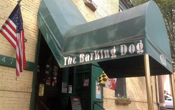 The Barking Dog