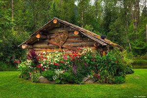 Log cabin