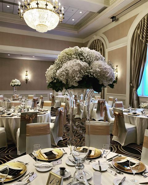 The Seelbach Hilton Louisville