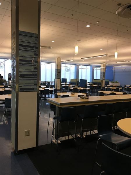 Notre Dame of Maryland University