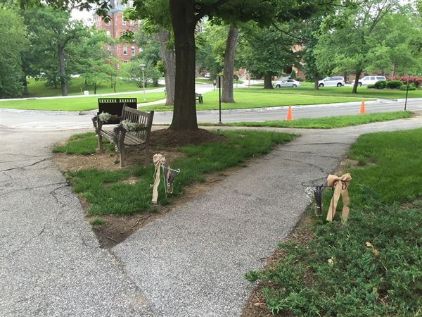 Notre Dame of Maryland University