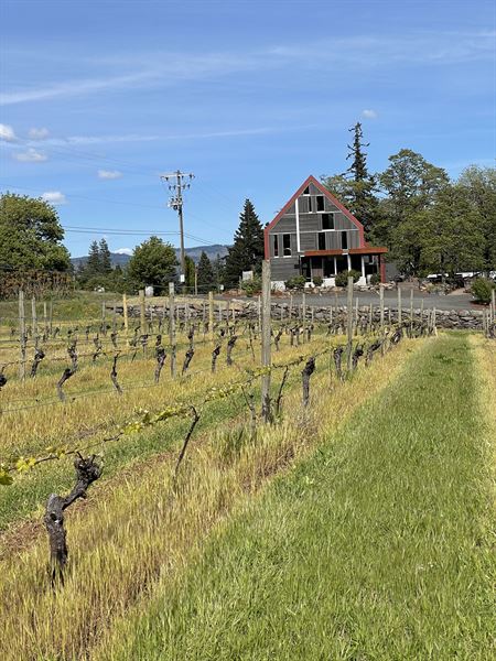 Phelps Creek Vineyards