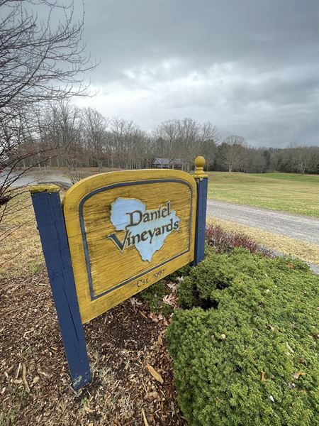 Daniel Vineyards