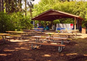Picnic Shelter