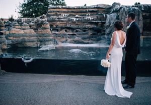 Humboldt Penguin Exhibit