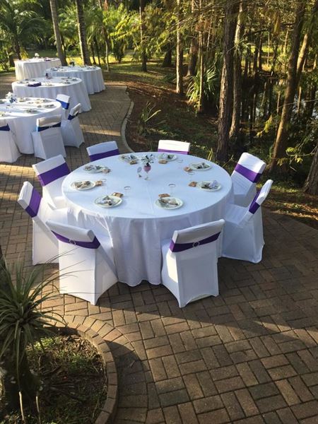 Southern Palm Weddings & Events