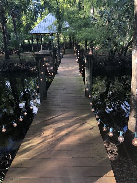 Southern Palm Weddings & Events