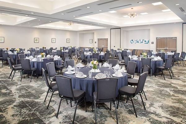 Hilton Garden Inn Dallas/Arlington South