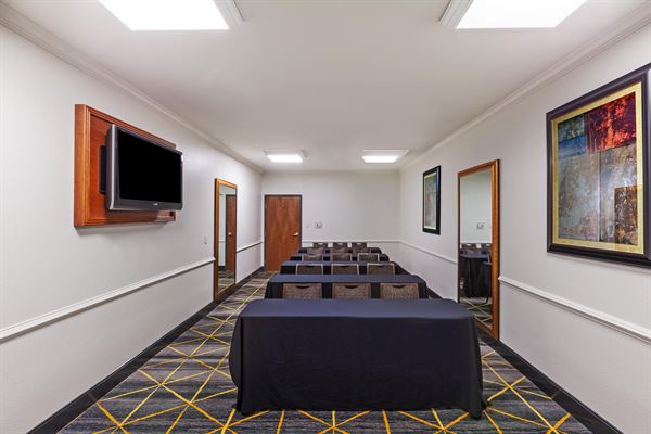 Holiday Inn and Suites McKinney- Fairview