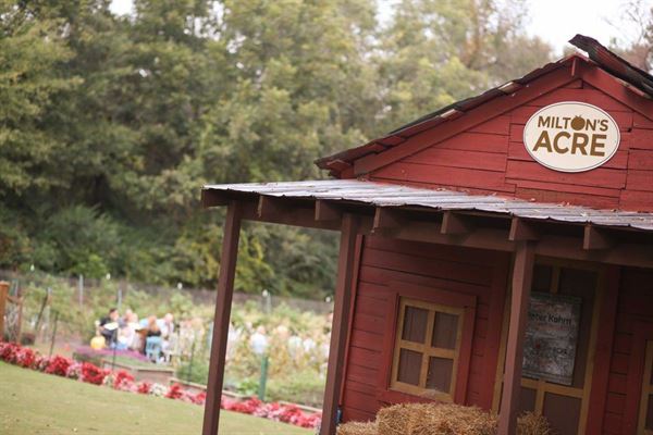 Milton's Cuisine & Cocktails