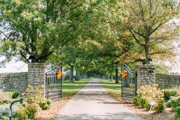 Hawks Nest Weddings & Events