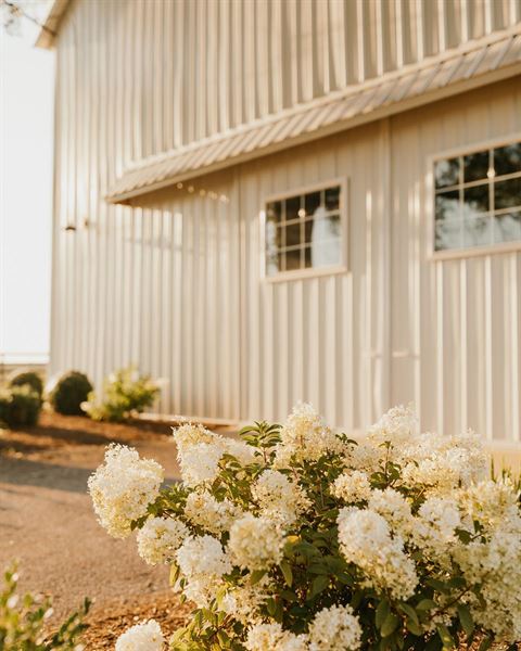 Hawks Nest Weddings & Events