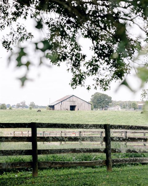 Hawks Nest Weddings & Events