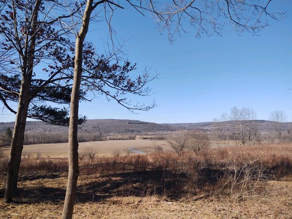 Plum Good Campground