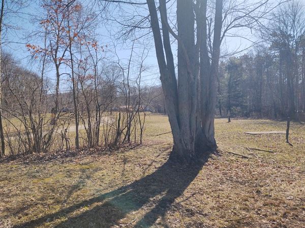 Plum Good Campground