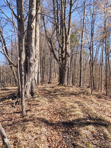 Plum Good Campground