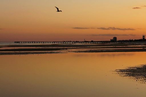Seacoast Wedding Chapel