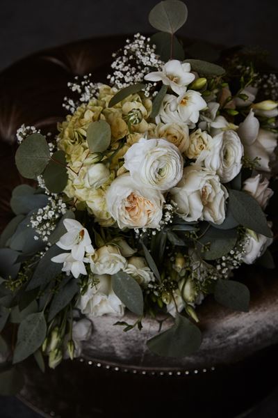 Jackie Hall Photography