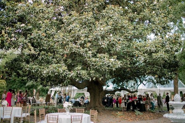 Holly Springs Garden Club