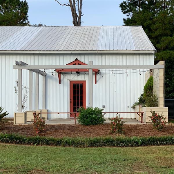 Mississippi's Indigo Pines