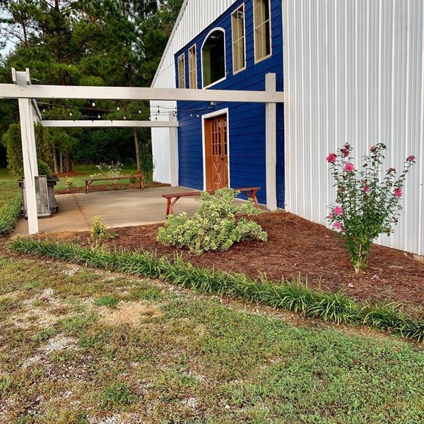 Mississippi's Indigo Pines