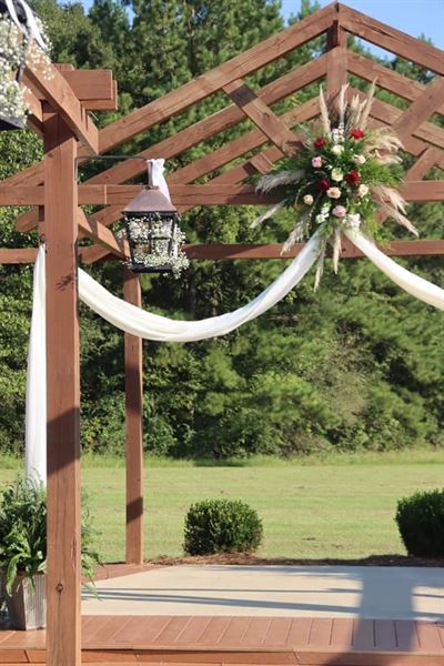 Mississippi's Indigo Pines