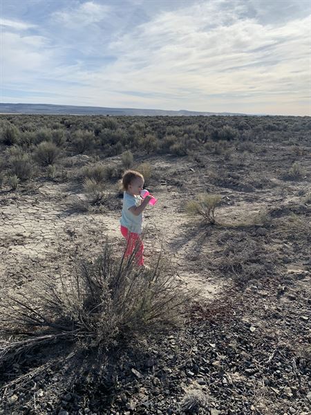 Deluxe Camping and RV Park