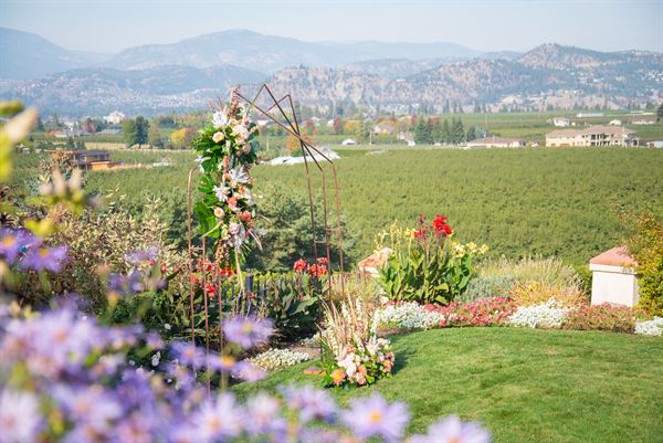 The Vibrant Vine Winery