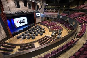 The Vine Stage