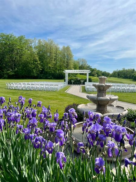 The Blue Heron At Blackthorn