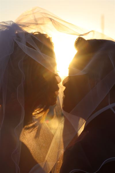 The Social Event Planner