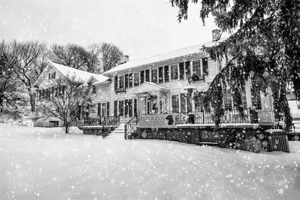 Black Dog Wine Company