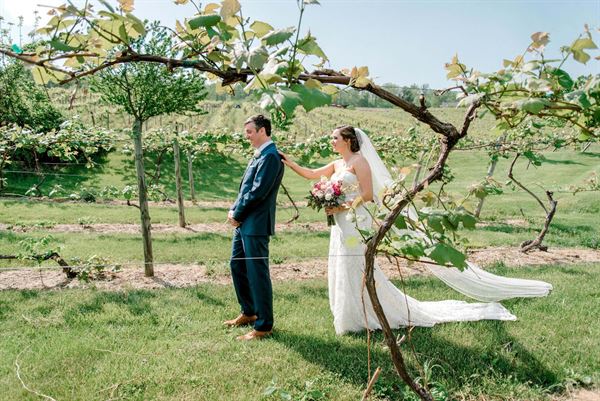 The Stable at Bluemont Vineyard