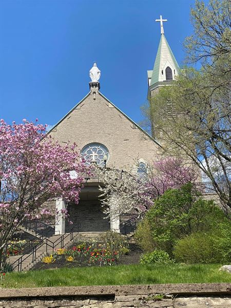 Holy Cross Immaculata Church