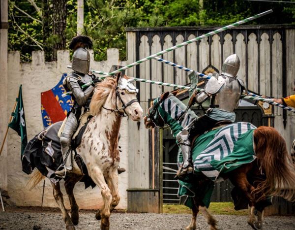 Georgia Renaissance Festival