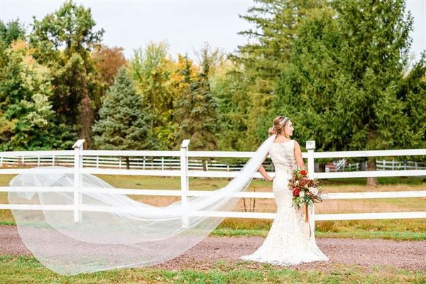 Ash Mill Farm Bed & Breakfast