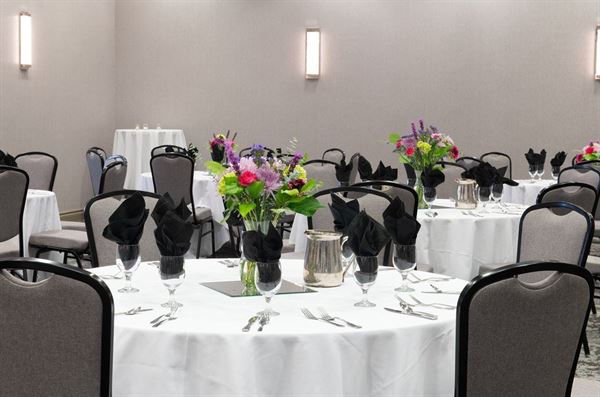 Delta Hotels by Marriott Detroit Novi