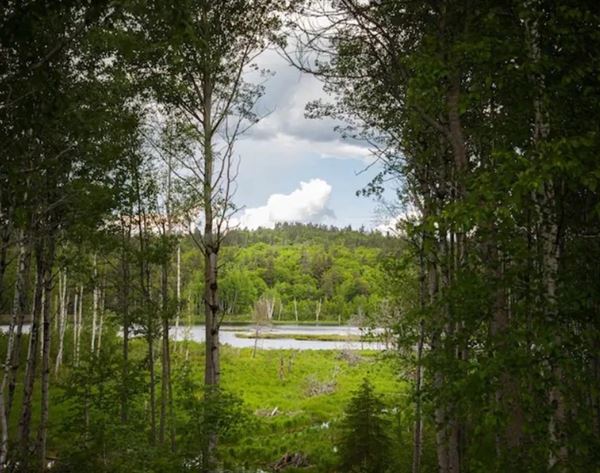 Dar n' Bob's Getaway Lodge Ltd.