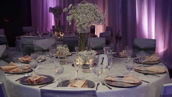 Embassy Suites Orlando - Airport