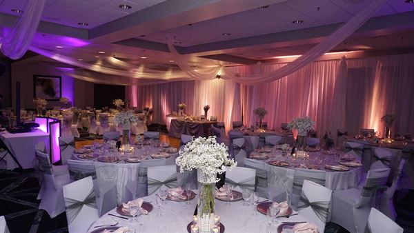 Embassy Suites Orlando - Airport